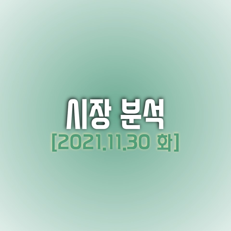  금일(11/30) 주식 시장 분석