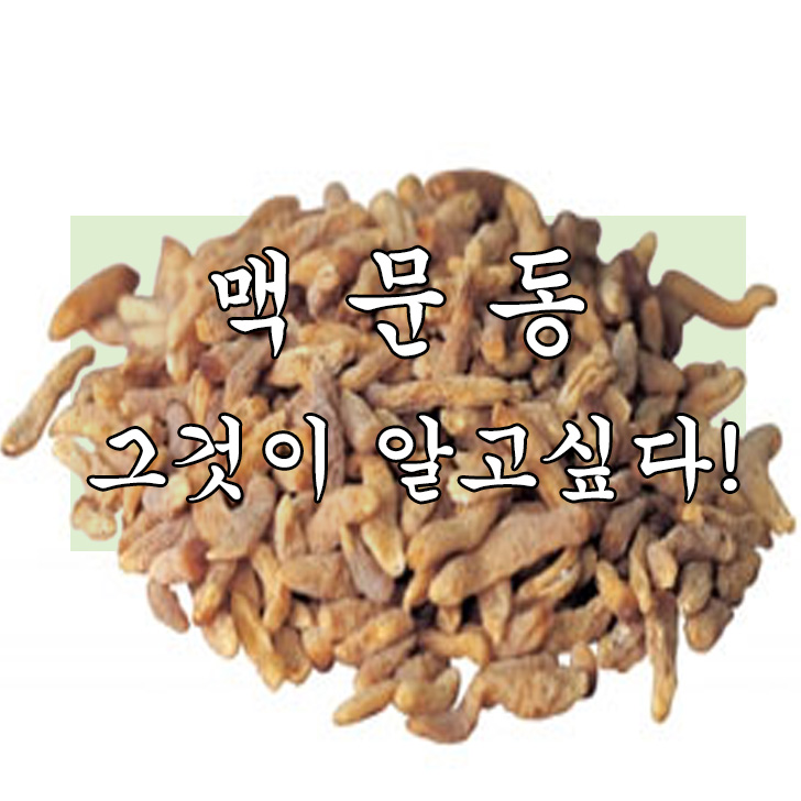  맥문동 효능 및 먹는 방법!