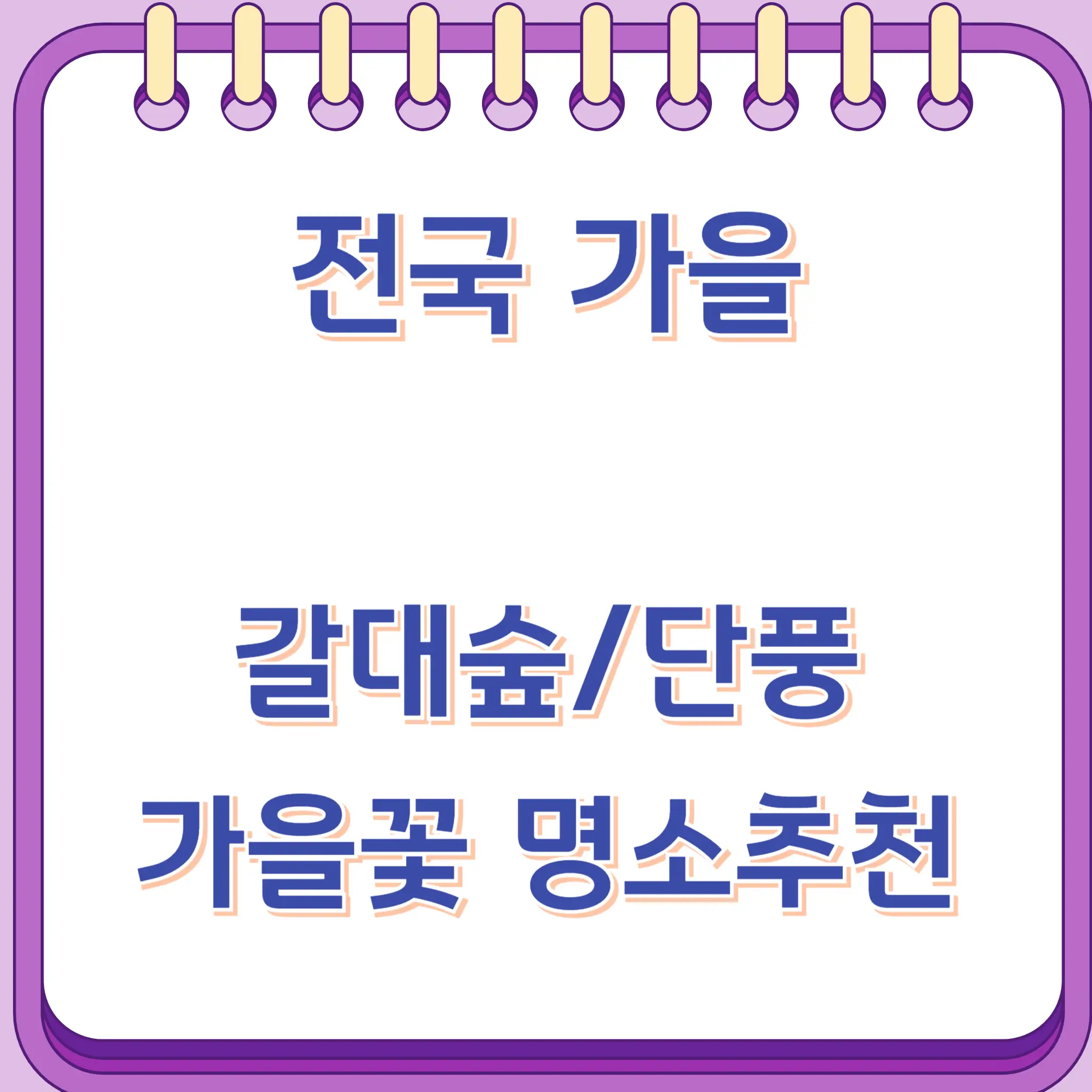 전국 갈대숲 단풍 가을꽃 명소 추천