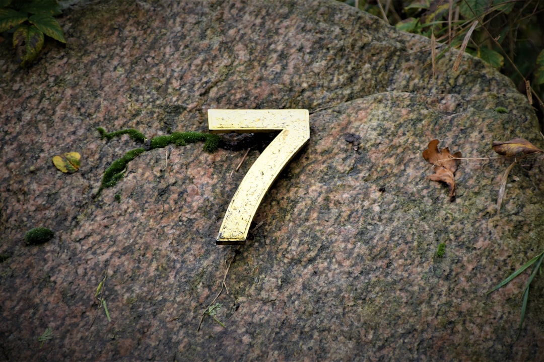 'Rankings'