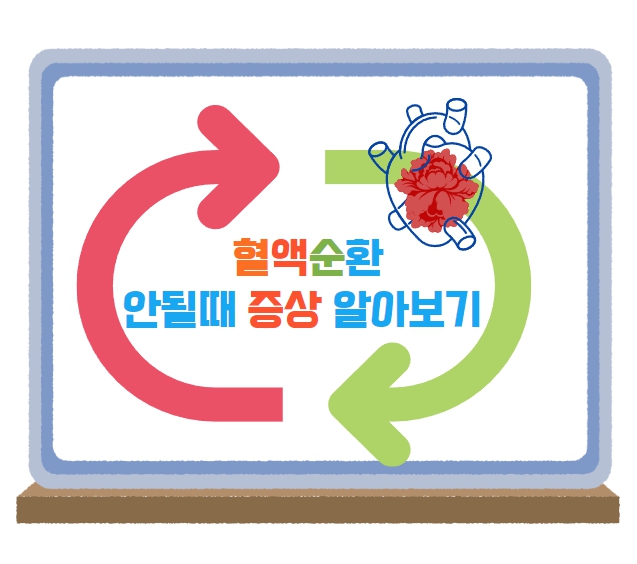  혈액순환안될때 증상, 혈액순환에 도움되는 스트레칭