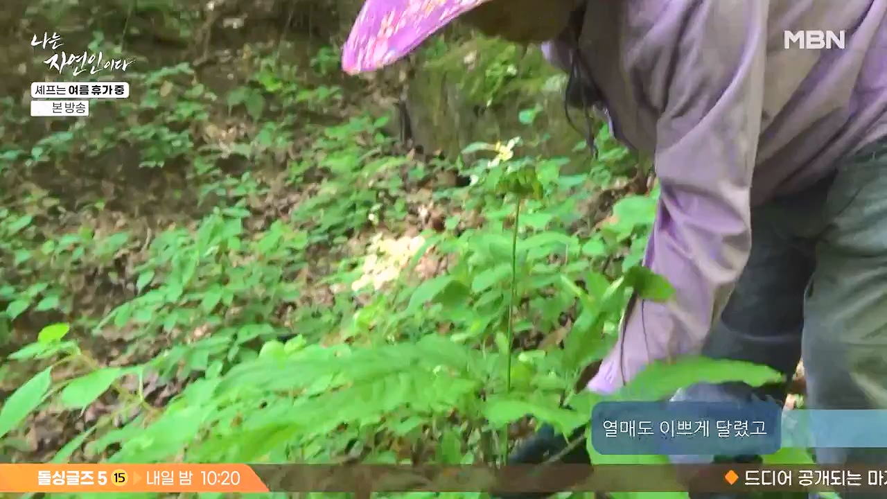 나는 자연인이다.E611.240627p-NEXT.mp4_20240627_195557.195.jpg