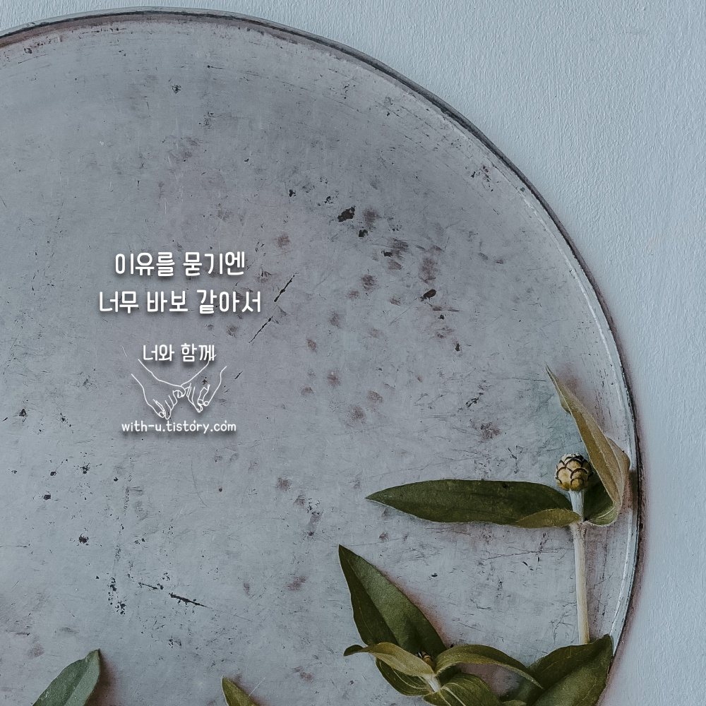  바보 명언 : 짧고 좋은 글귀 : 짧은 명언