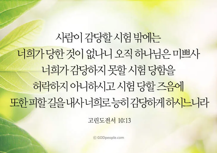 고린도전서 13장 4절 읽기 - 사랑은 오래 참고 사랑은 온유하며 시기하지 아니하며_9