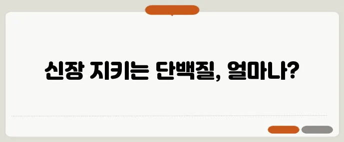 단백질 과다 섭취 신장 부담 줄이는 1일 섭취량 계산이 중요합니다!