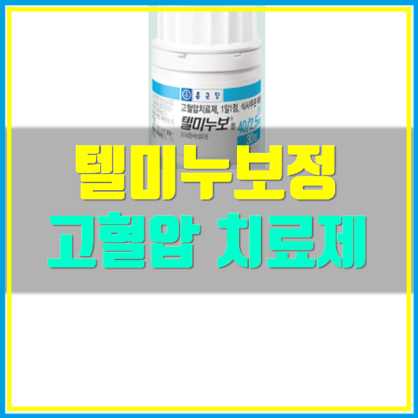  고혈압약 텔미누보정
