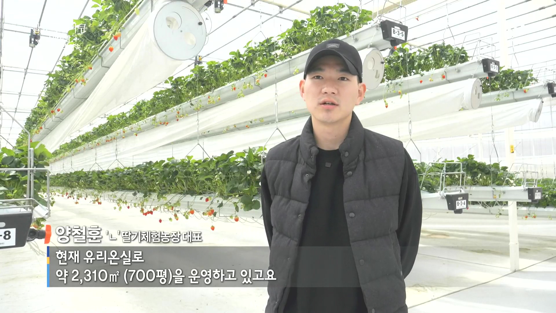 일요 특선 다큐멘터리.E348.240804p.H264-F1RST.mp4_20240805_195509.485.jpg
