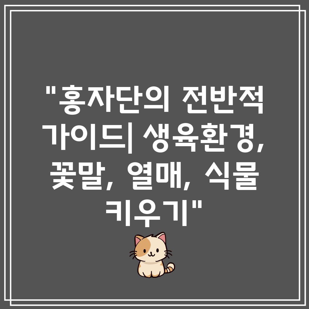 홍자단의 전반적 가이드 생육환경, 꽃말, 열매, 식물 