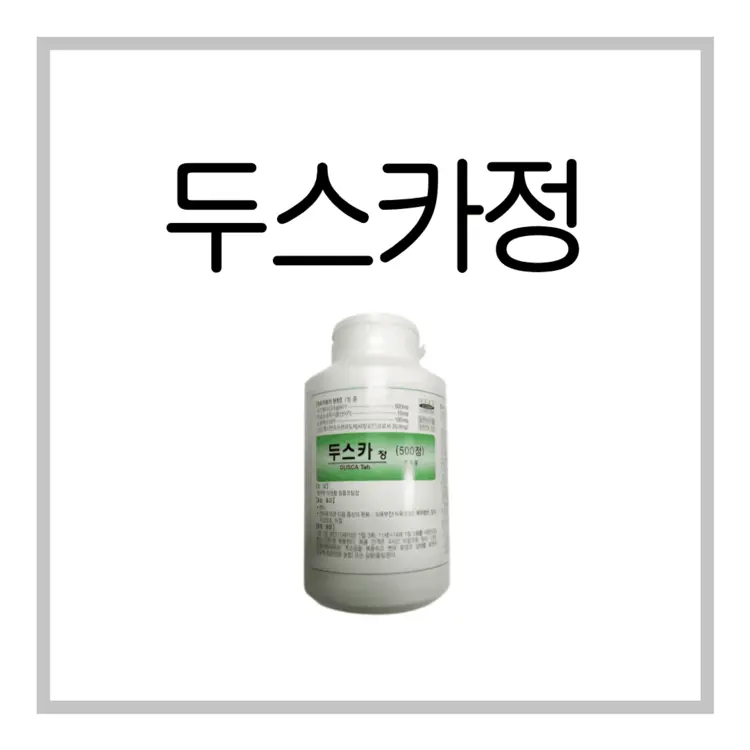 두스카정-이미지