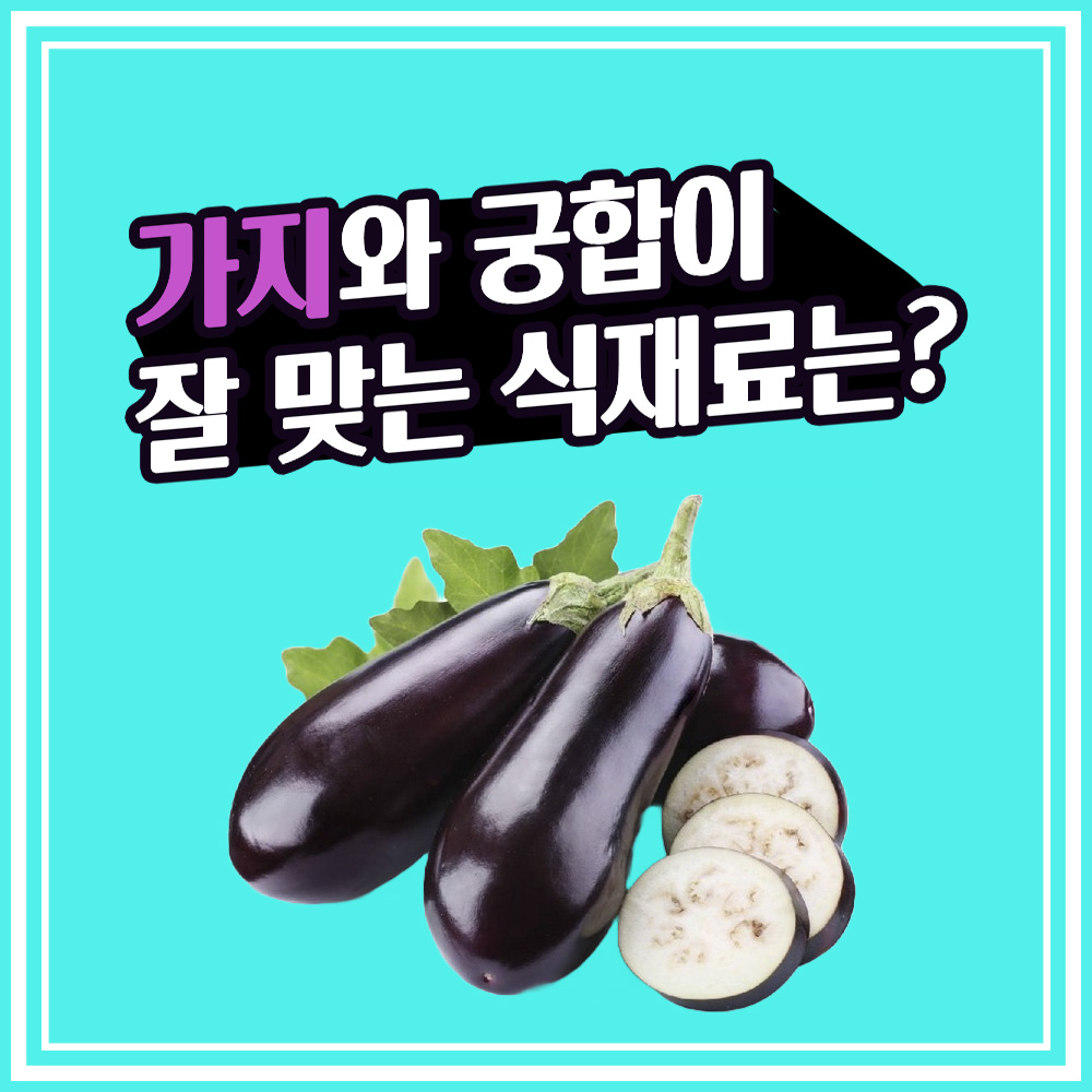  [음식궁합] 가지와 음식궁합이 잘 맞는 식재료는? 가지와 돼지고기, 가지와 장어, 가지와 파프리카와의 음식궁합 좋아요!