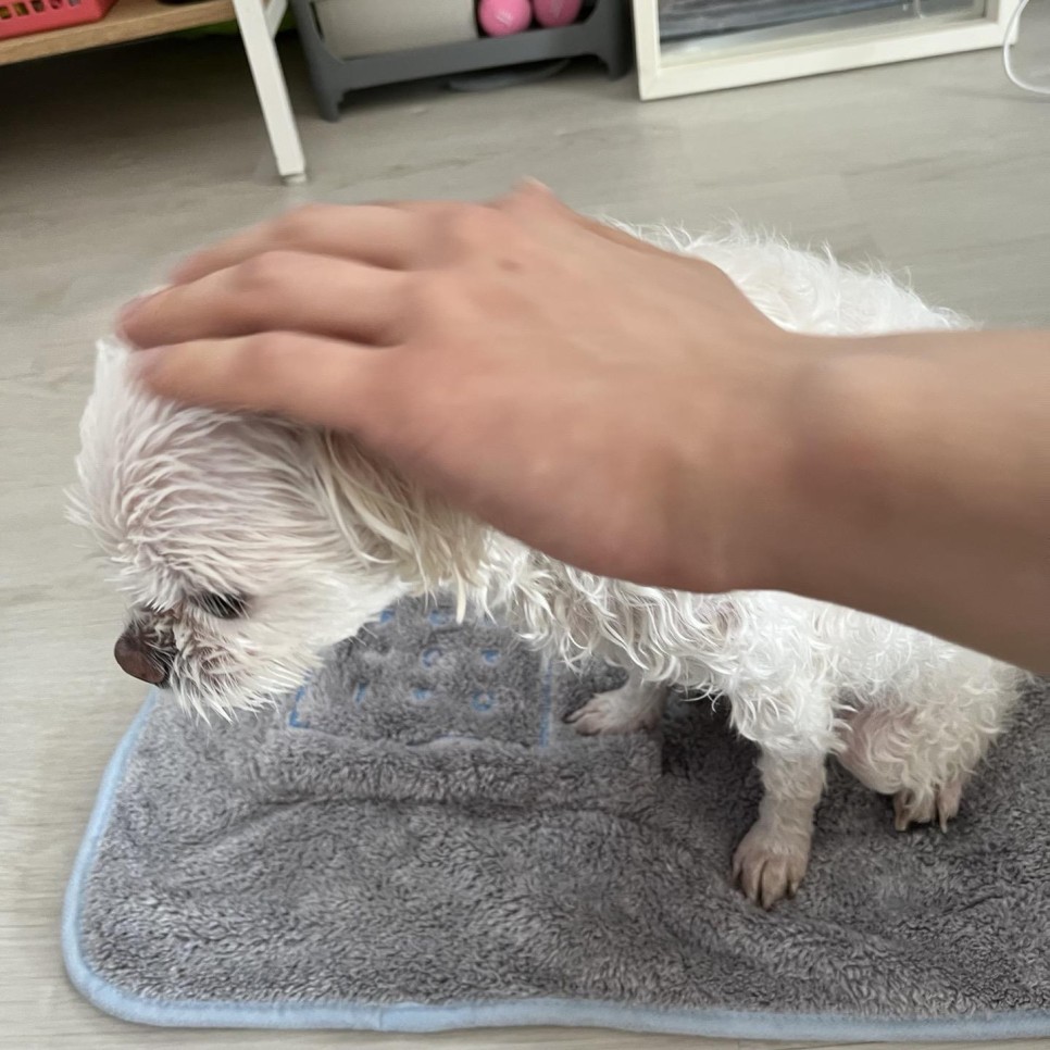 눈물 깔끔한 관리 도전! 6