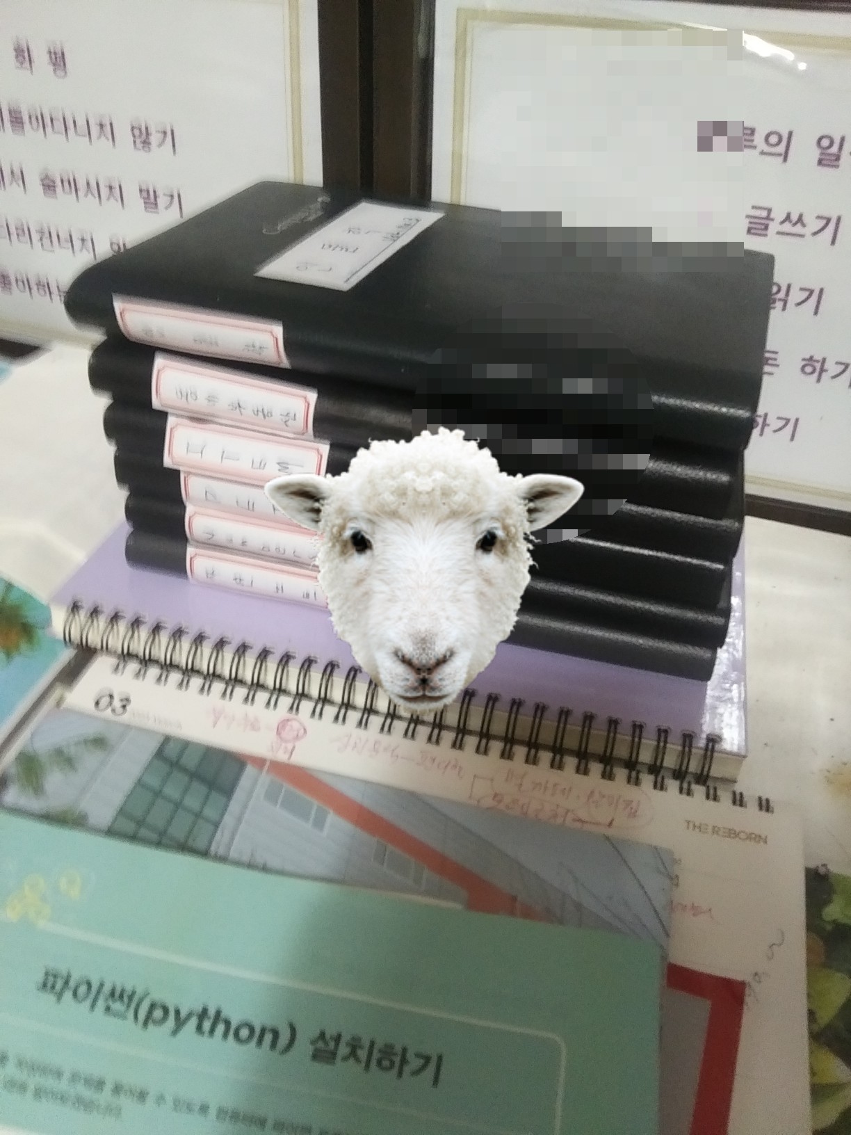  향남이끄시는교회-너무 많다