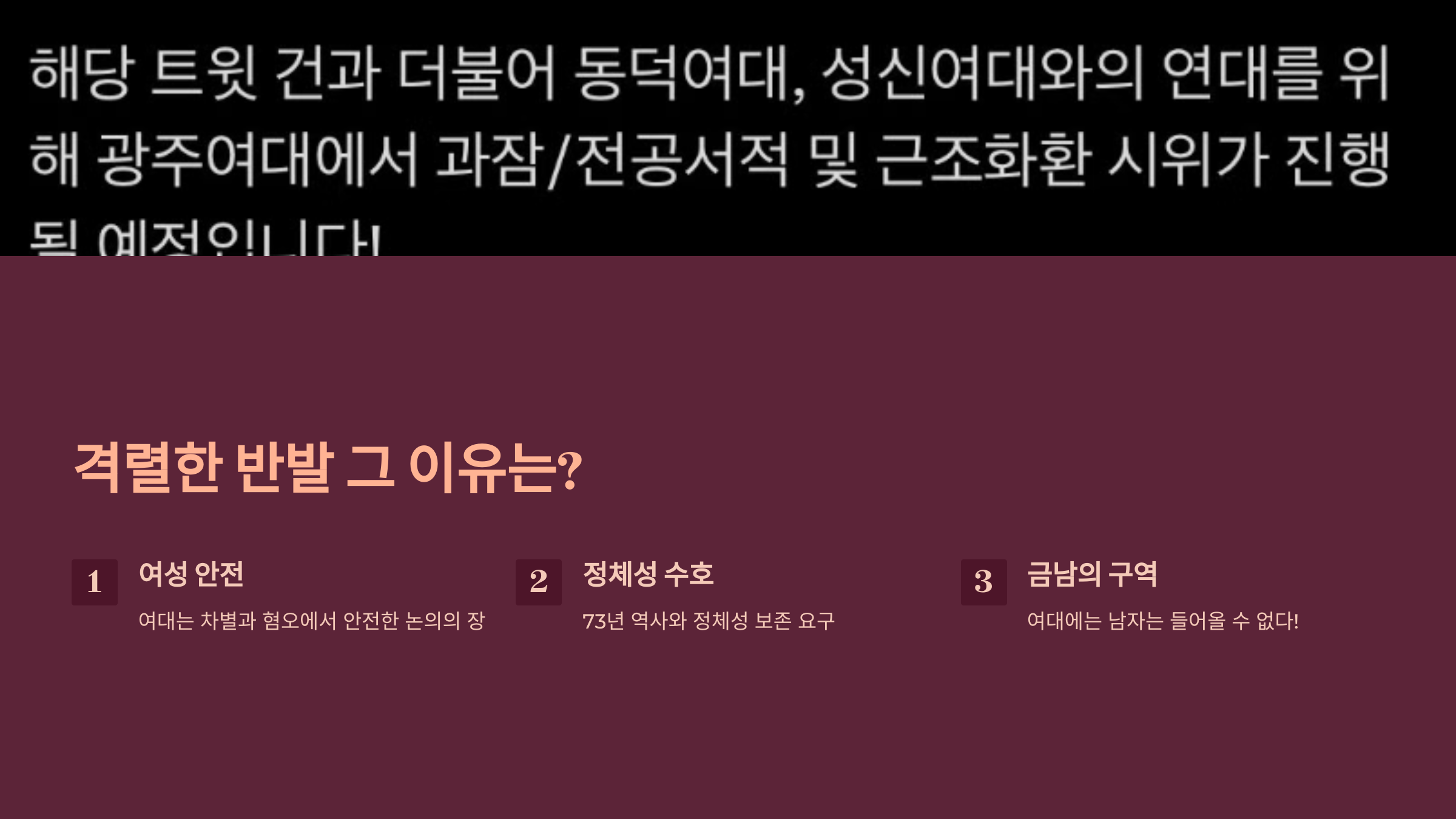 격렬한 반발 그 이유에 대해 설명하는 PPT 이미지