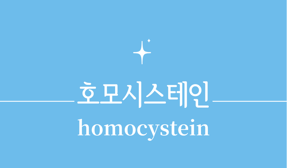 '호모시스테인(homocystein)'