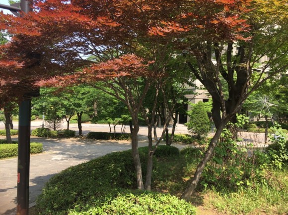 동시진행시 부동산 중개수수료 할인? 갭투자 복비, 매매 전세 5