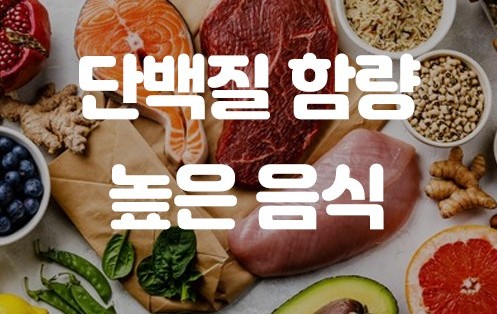 단백질 음식, 식물성 단백질, 동물성 단백질