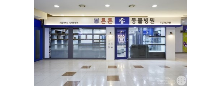 인천 부평구 동물병원