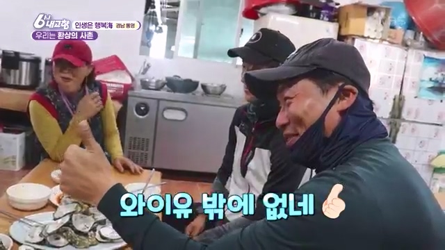 6시 내고향_김장의 필수품 평창 고랭지 배추 - 강원 평창 [슬기로운 두 반장] 슬기로운 어르신들을 찾아서 (충북 제천) [붕붕이가 간다] 철원에 무슨 일이 (강원 철원) [인생은 행복海] 우리는 환상의 사촌 (경남 통영).ts_20231117_205234.994.jpg