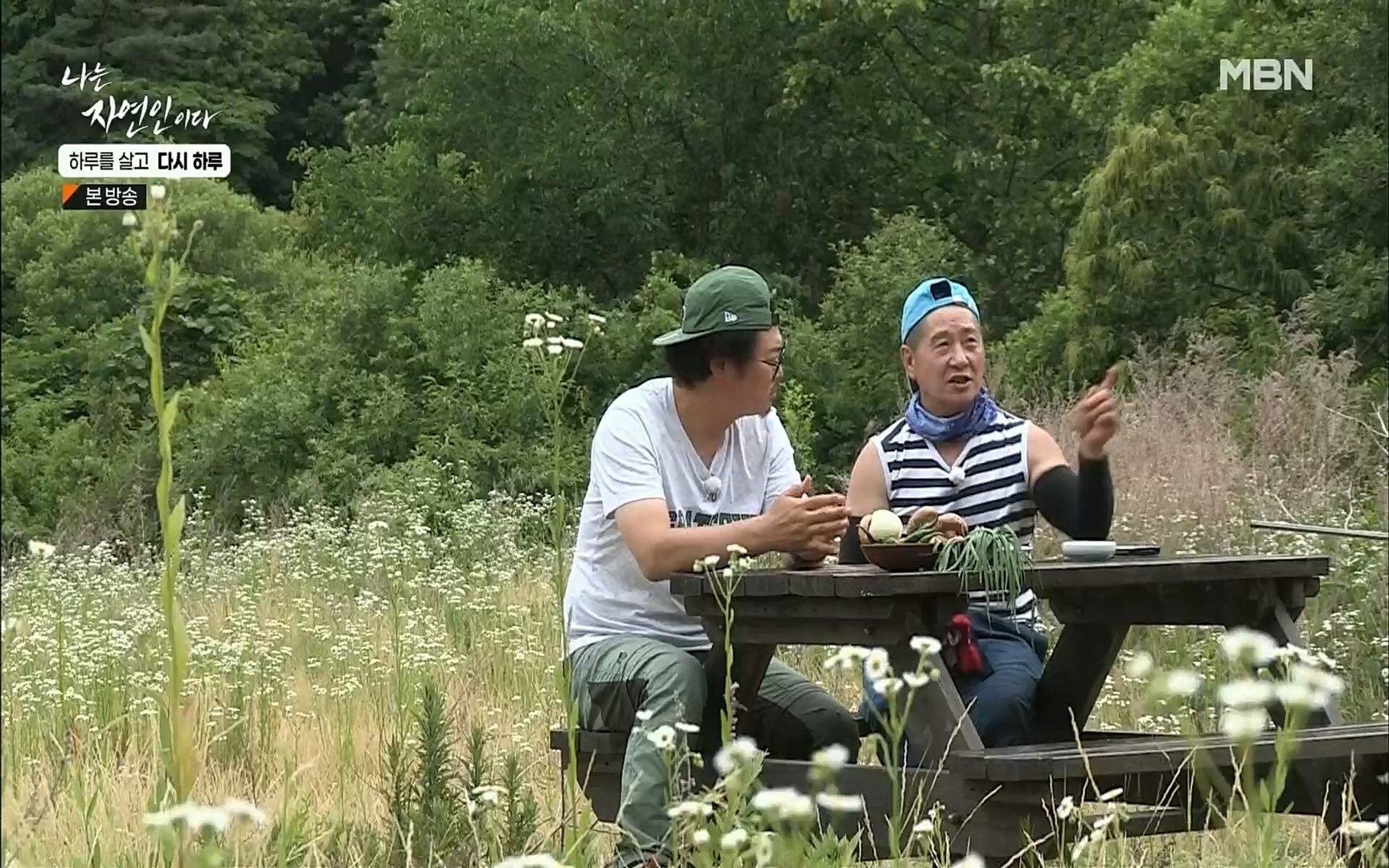 나는 자연인이다.E509.220706p.H264-F1RST.mp4_20220707_183727.288.jpg