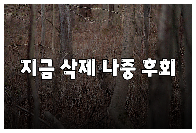 지금 삭제 나중 후회