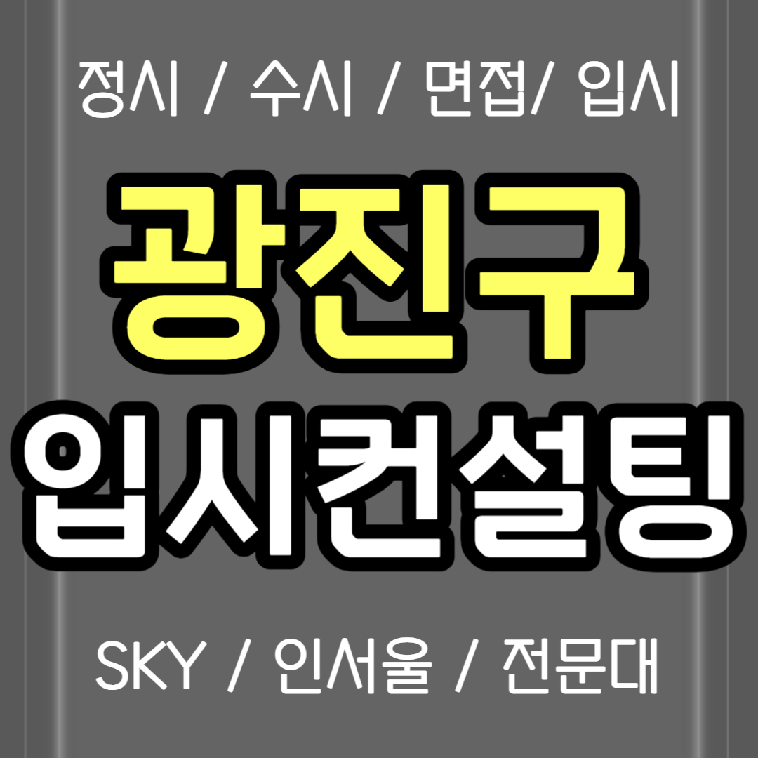  광진구 정시컨설팅 입시컨설팅 중2 중3 광장동 수시컨설팅 전문 고1 고2 고3 화상 입시컨설팅 추천 생기부 의대 스카이