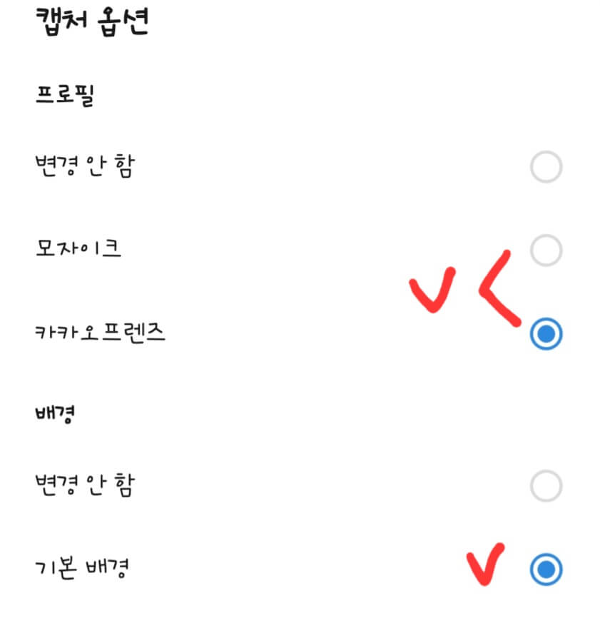 카카오톡-캡처-옵션-선택-화면