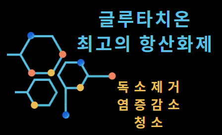 글루타치온 설명