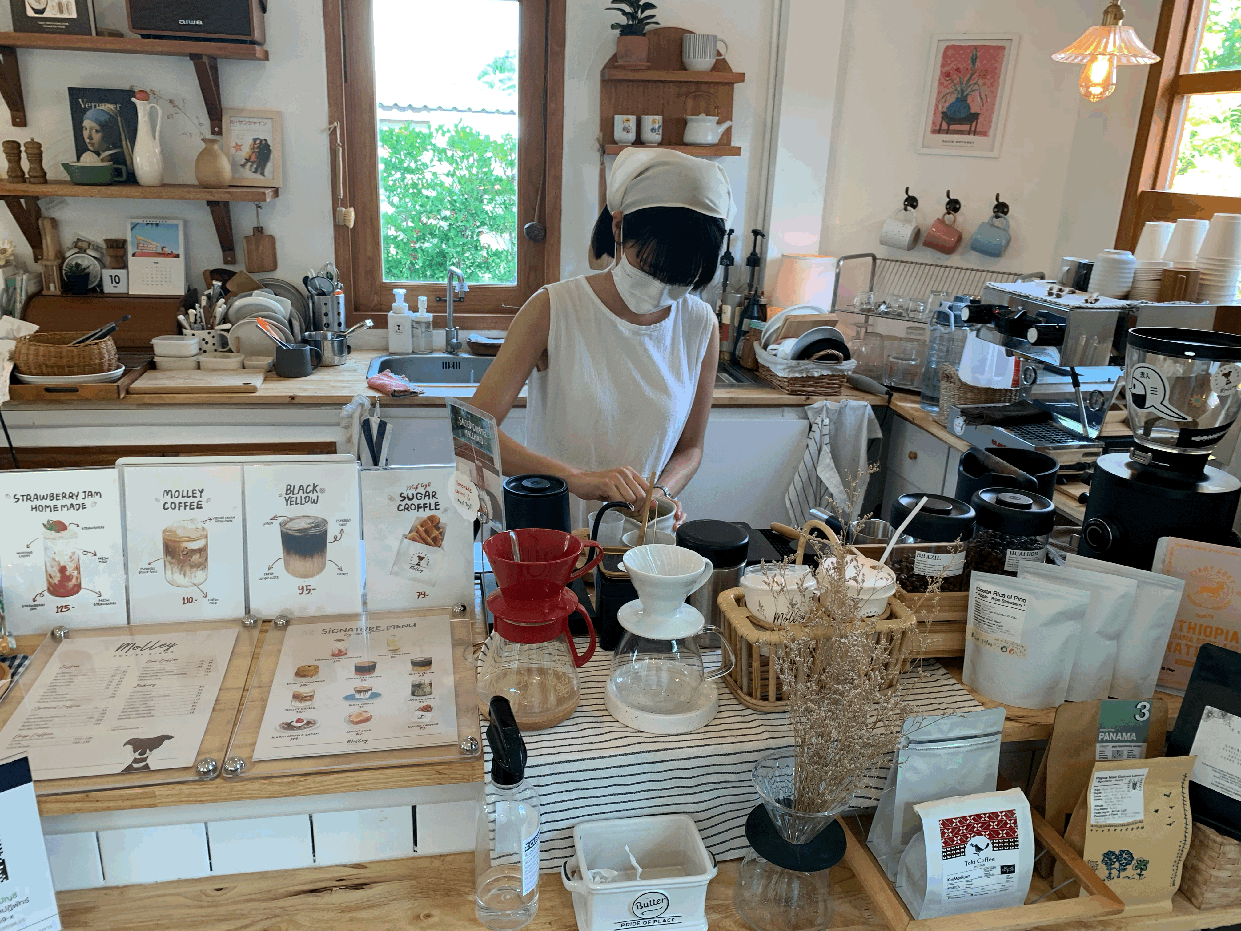 Molley Coffee Stand