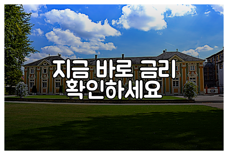 지금 바로 금리 확인하세요