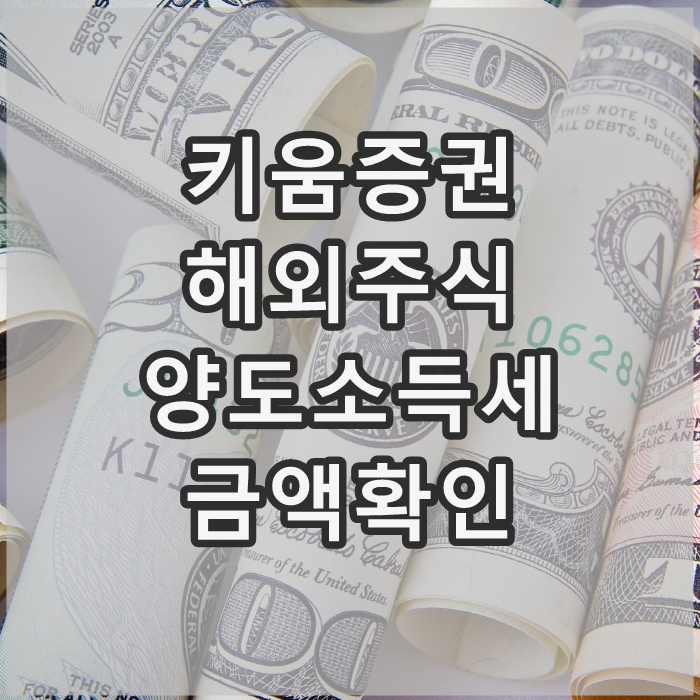  키움증권 해외주식 양도소득세 조회 (비과세 실패후기)