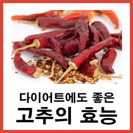 고추-효능