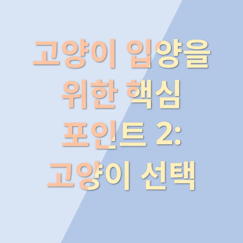 인천 고양이 입양_2