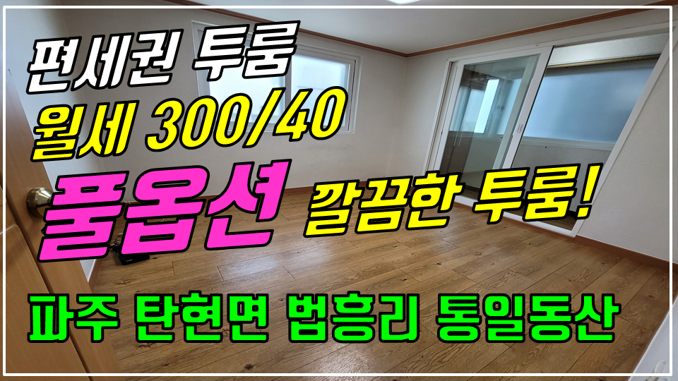  파주 탄현면 법흥리 통일동산 신세계첼시아울렛 헤이리 투룸 월세 300/40만 버스정류장 인근 가성비 좋은 남향집 풀옵션 깔끔한 투룸 1층 임대