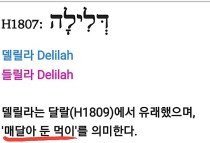 들릴라 원어 사전 사진