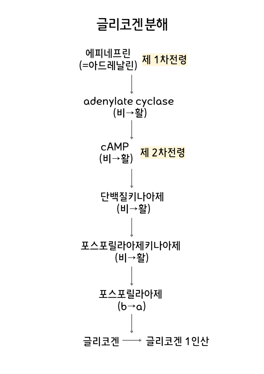 리얼피티 이미지