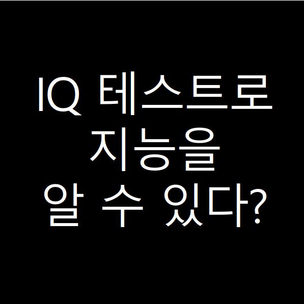  IQ 테스트에 대한 오해와 지능확인의 가능 여부