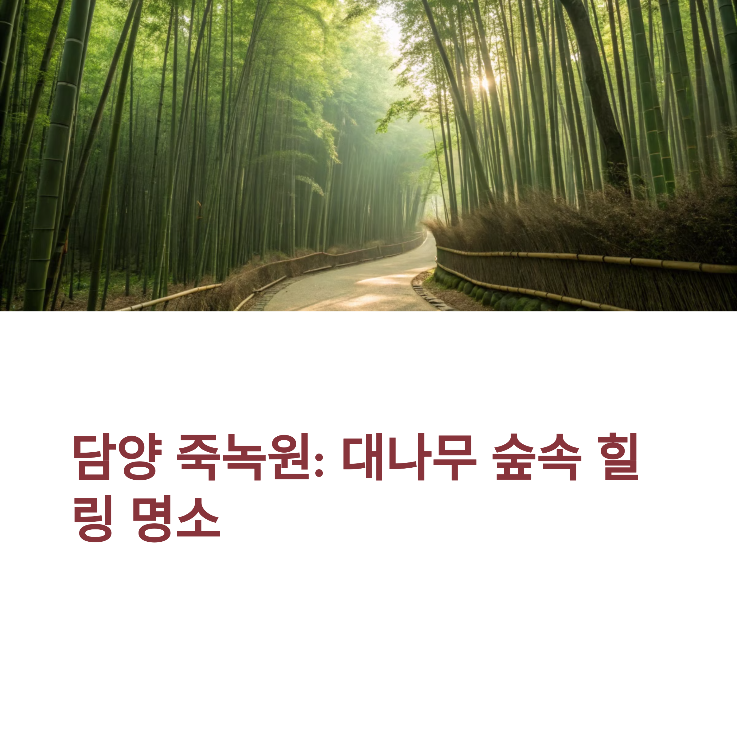 담양 죽녹원 솔직 후기