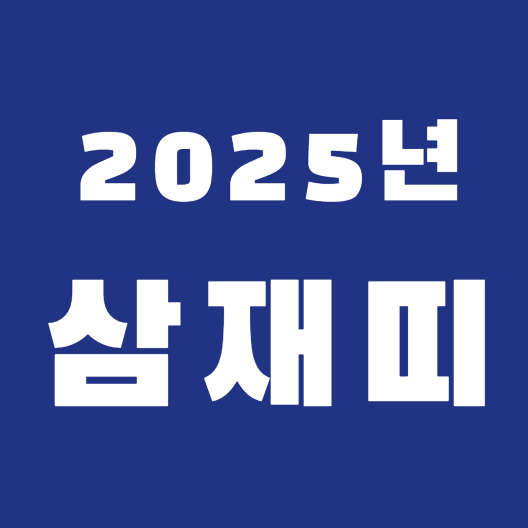 2025년 삼재띠