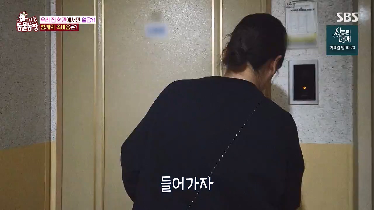 TV 동물농장.E1177.240624p-NEXT.mp4_20240623_163759.732.jpg