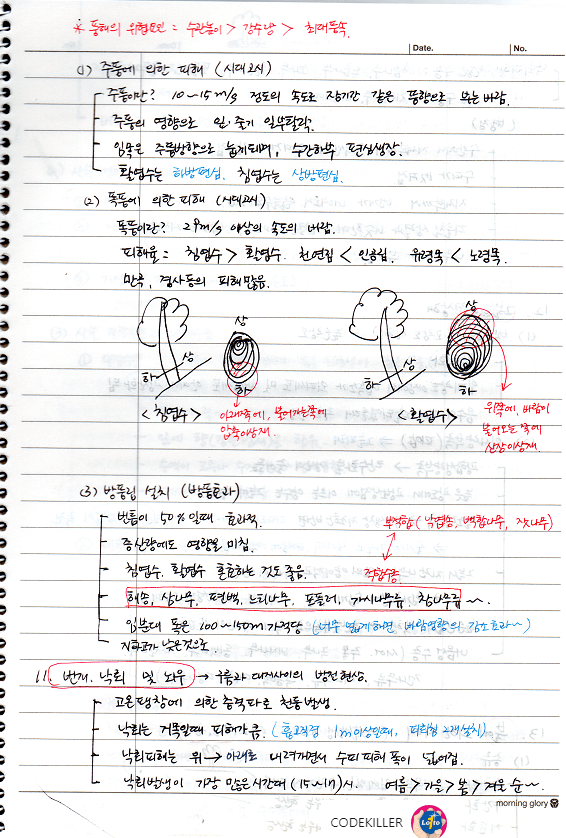  [비생물적피해론] 풍해