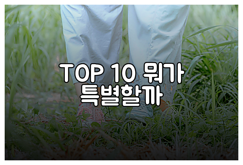 TOP 10 뭐가 특별할까