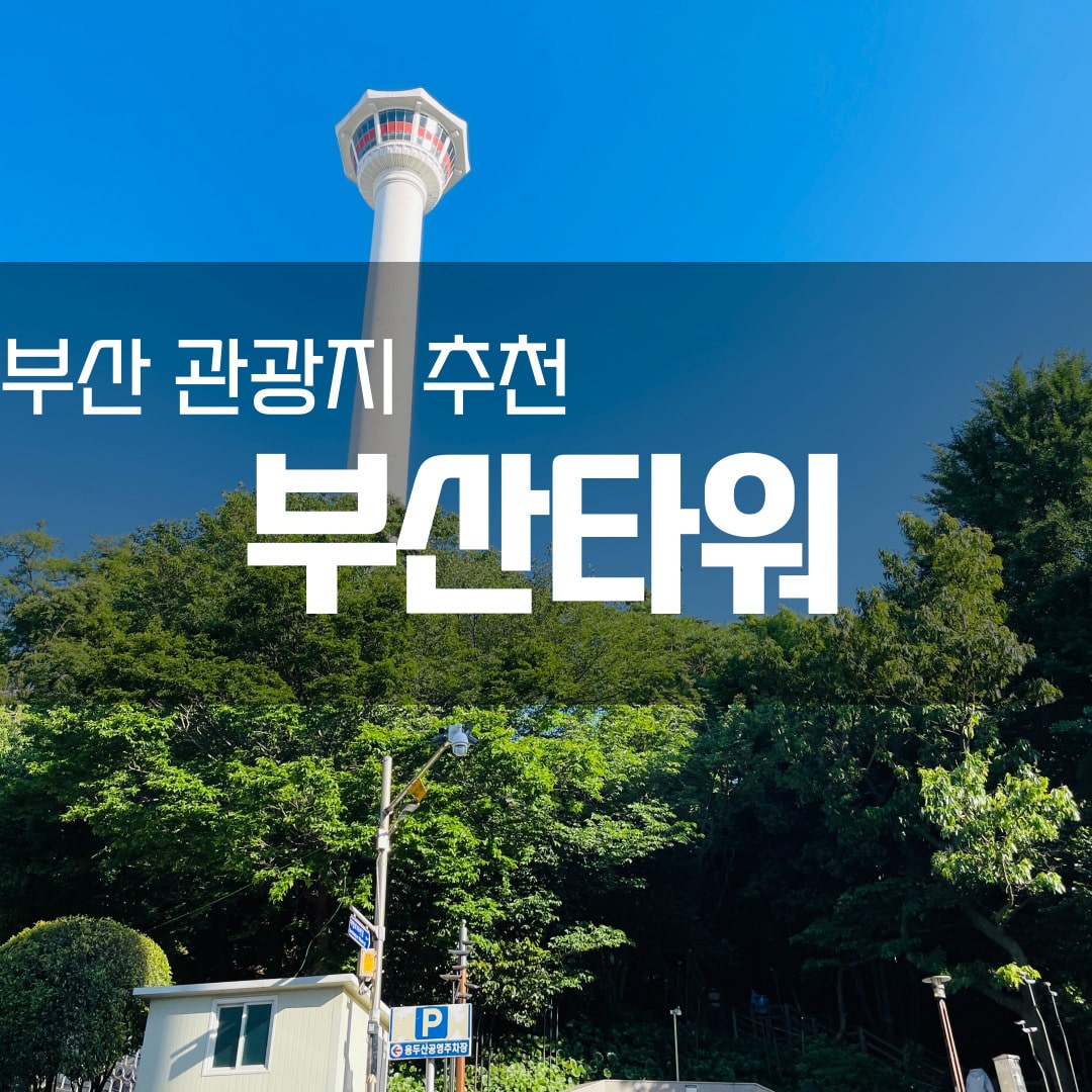 부산 필수 관광지 부산타워