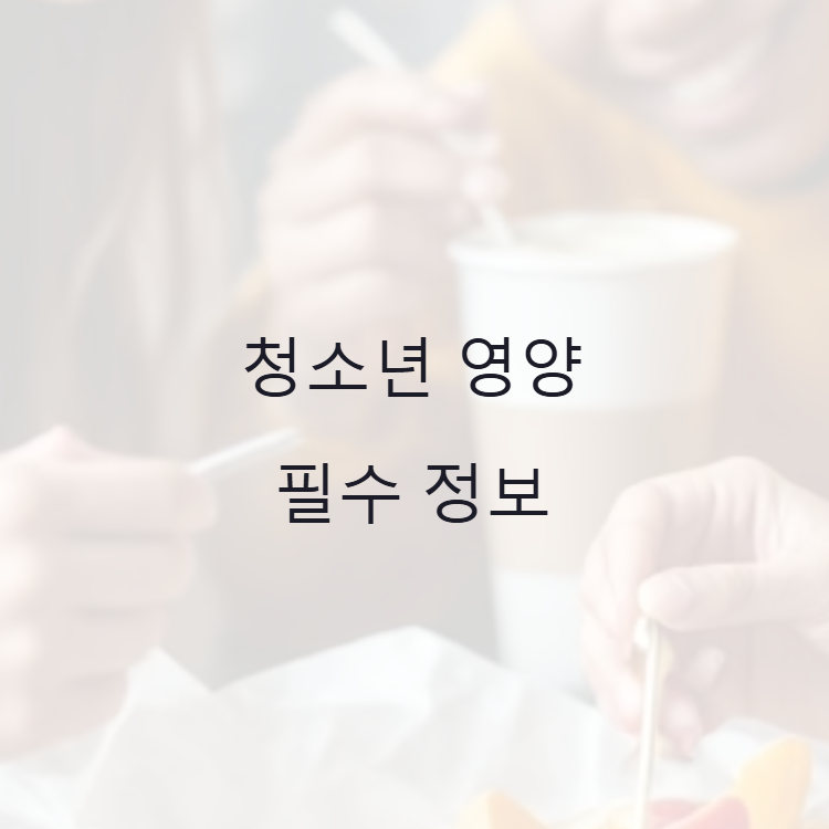 청소년 영양 필수 정보