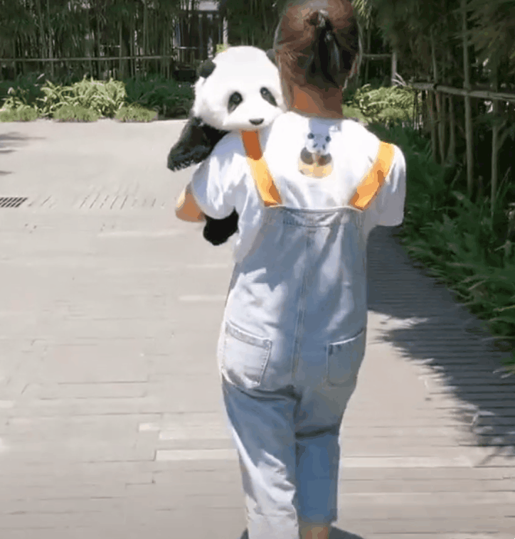 귀여운 팬더 인사하는 팬더새끼 움짤 1