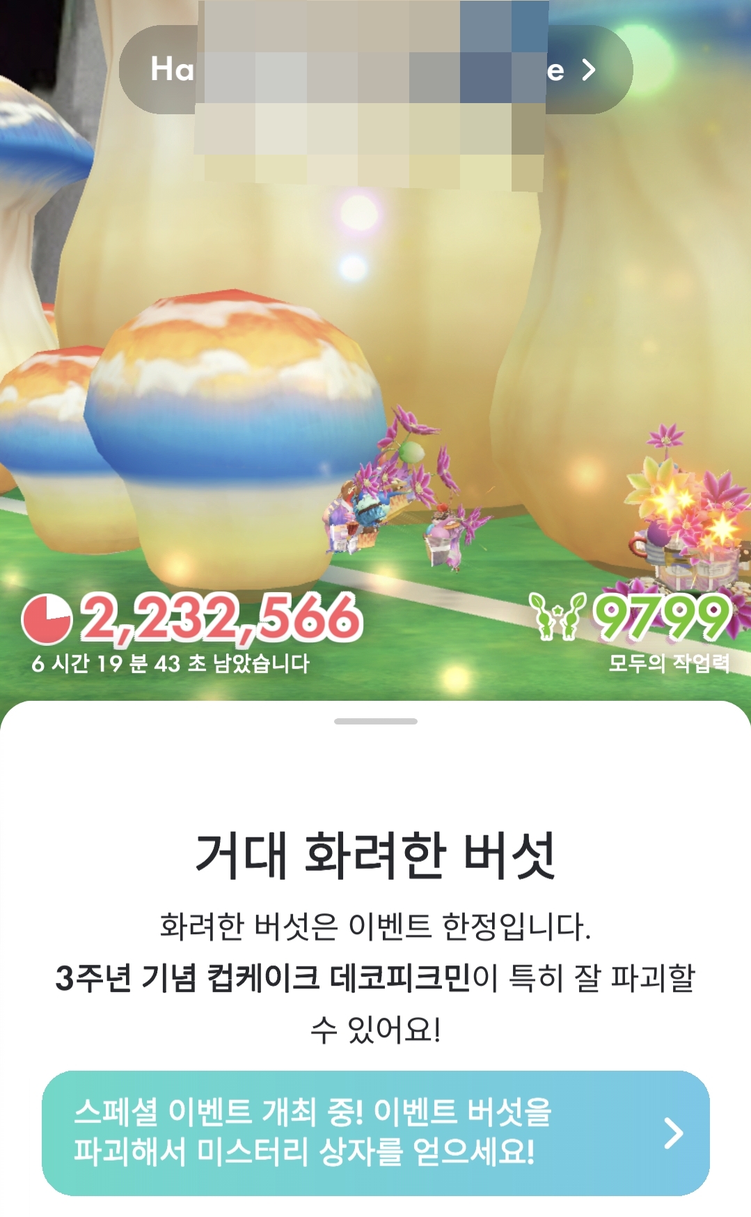 마싯 이미지