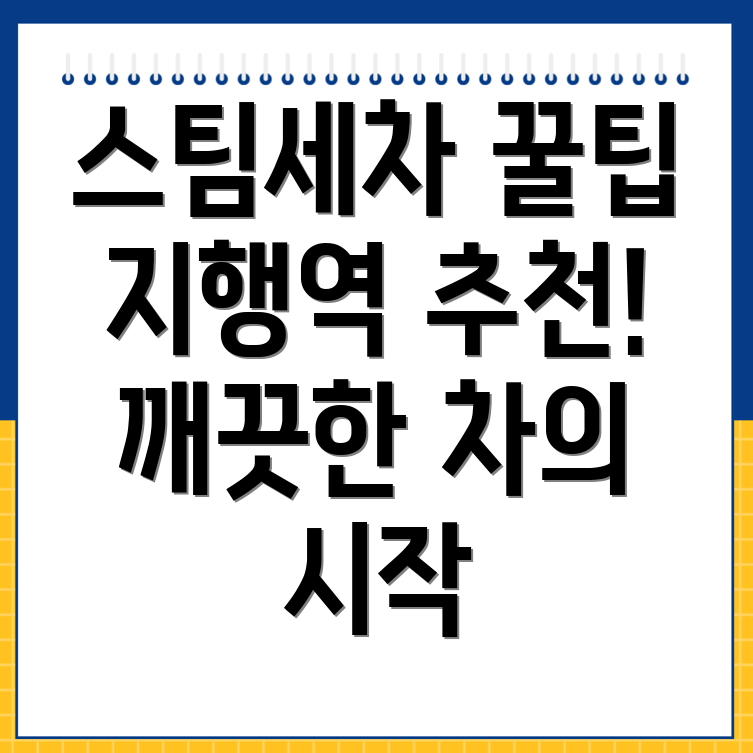 지행역 스팀세차