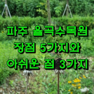  서울근교 갈만한곳, 파주 드라이브 코스 율곡수목원 칭찬할 점 5가지, 아쉬운 점 3가지