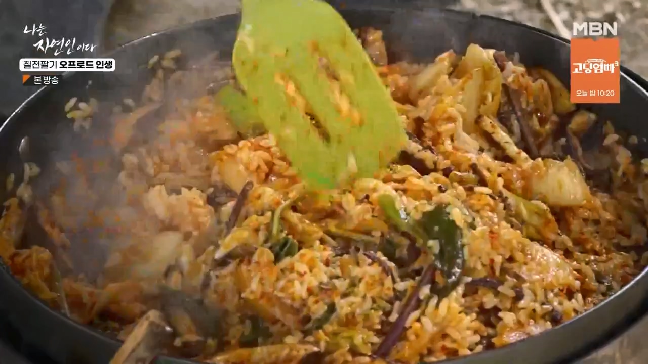 나는 자연인이다.E557.230608p-NEXT.mp4_20230608_194919.347.jpg