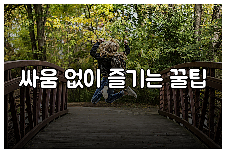 싸움 없이 즐기는 꿀팁