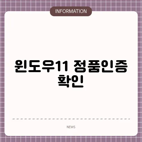 윈도우11 정품인증 확인